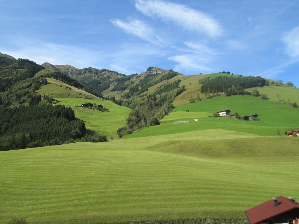Obermuehle Leilighet Rauris Rom bilde